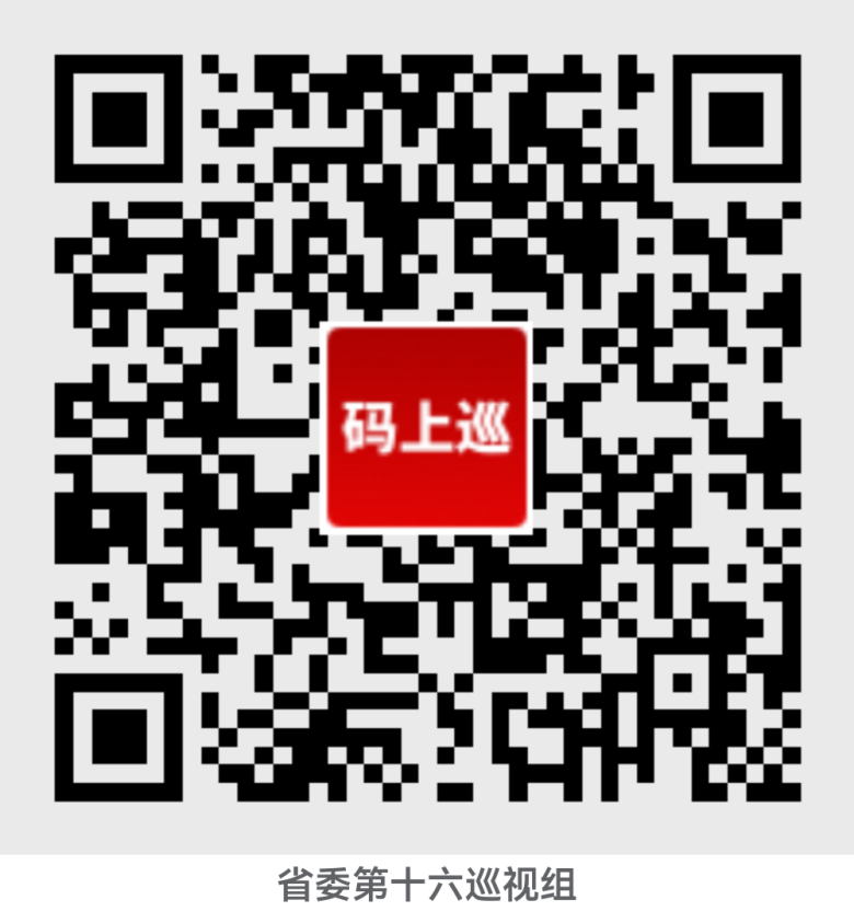 省委第十六巡視組巡視豫信電子科技集團有限公司黨委工作動員會議召開